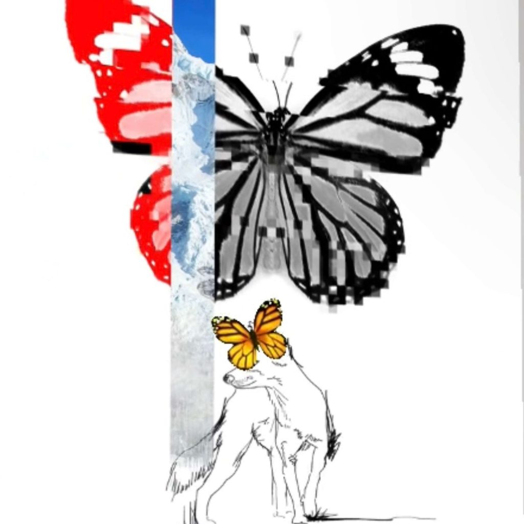 REPORTAGE – Tracés de voyages avec LE LABO