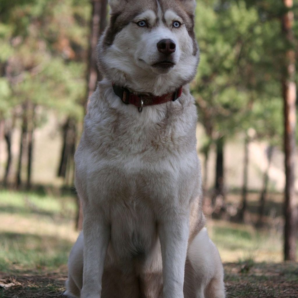 REVUE DE PRESSE – Plongez dans l’actualité torontoise du vendredi 20 décembre
