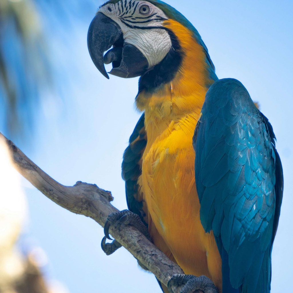 REVUE DE PRESSE – Plongez dans l’actualité torontoise du lundi 13 janvier