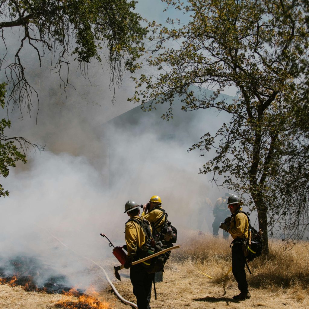 REVUE DE PRESSE – Plongez dans l’actualité torontoise du jeudi 9 janvier