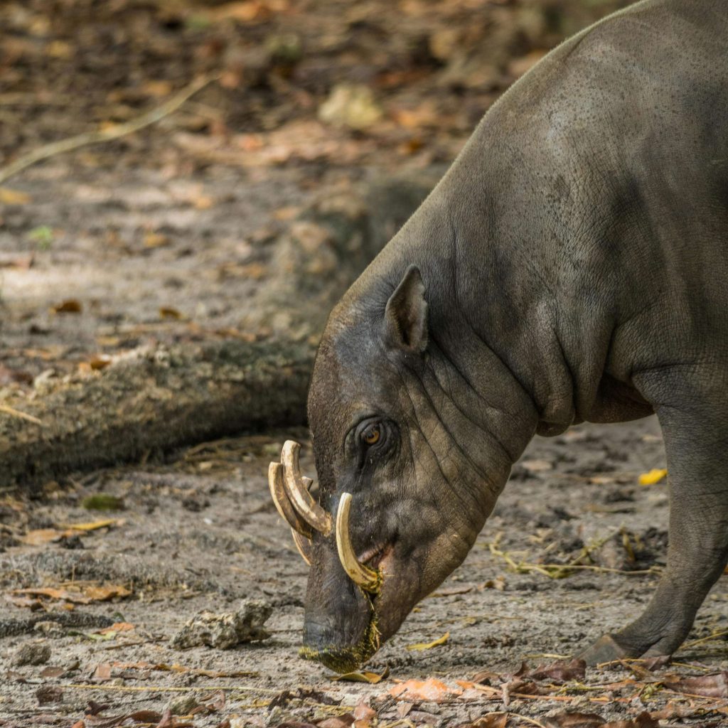 REVUE DE PRESSE – Plongez dans l’actualité torontoise du mardi 25 février
