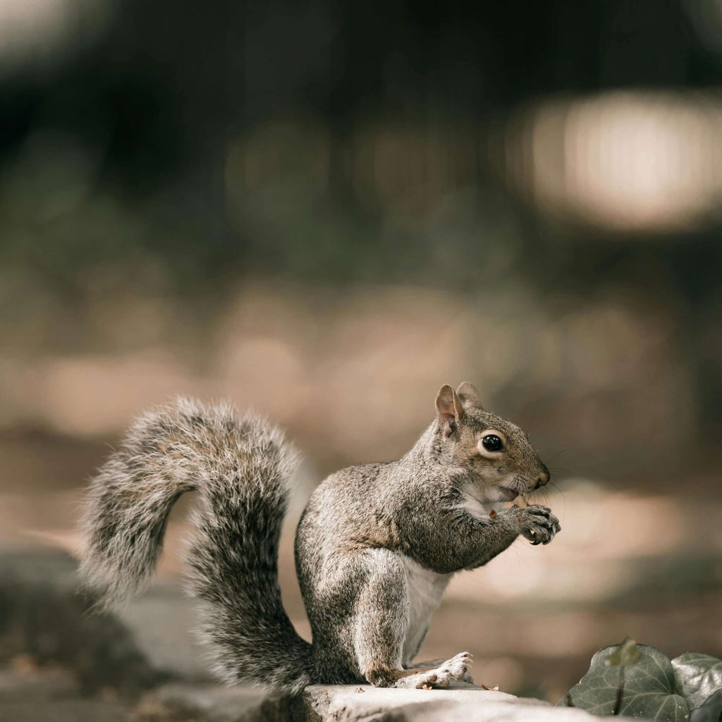 REVUE DE PRESSE – Plongez dans l’actualité torontoise du vendredi 7 février