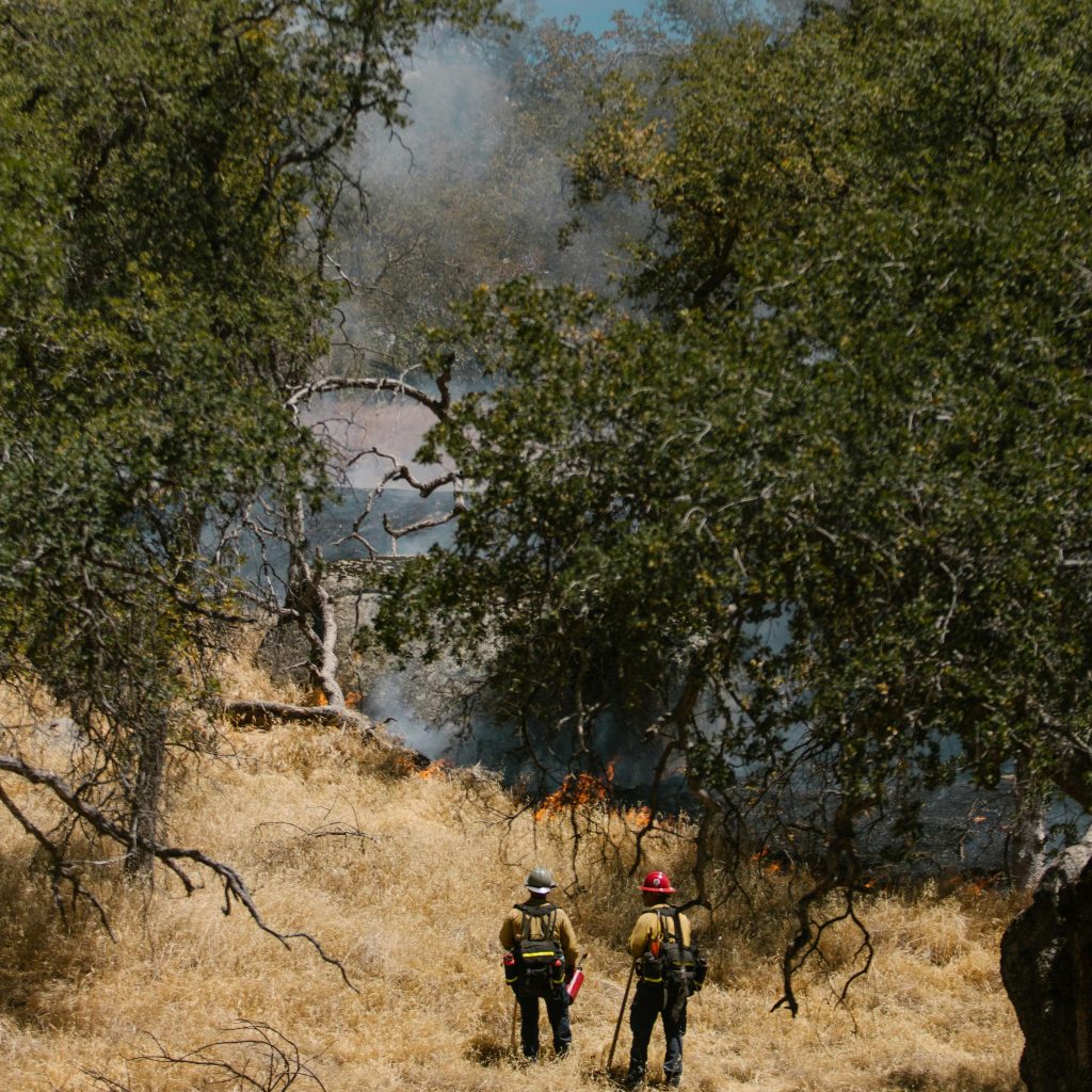 REVUE DE PRESSE – Plongez dans l’actualité torontoise du mercredi 11 juin