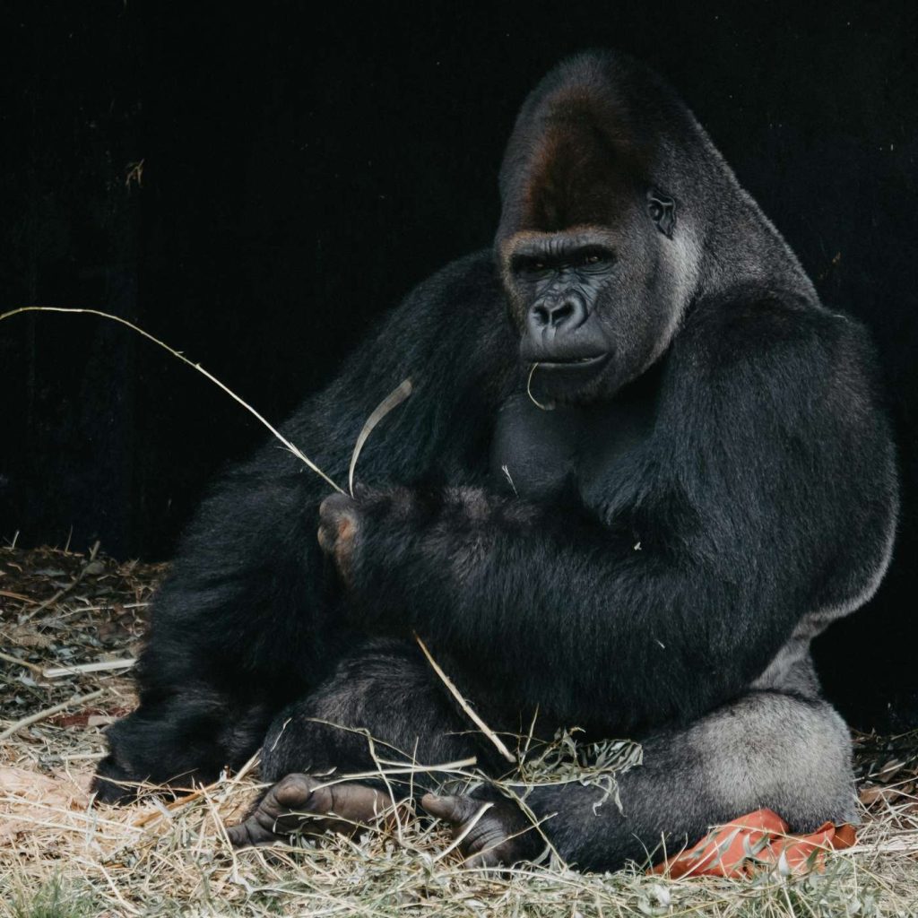 REVUE DE PRESSE – Plongez dans l’actualité torontoise du mercredi 30 juillet