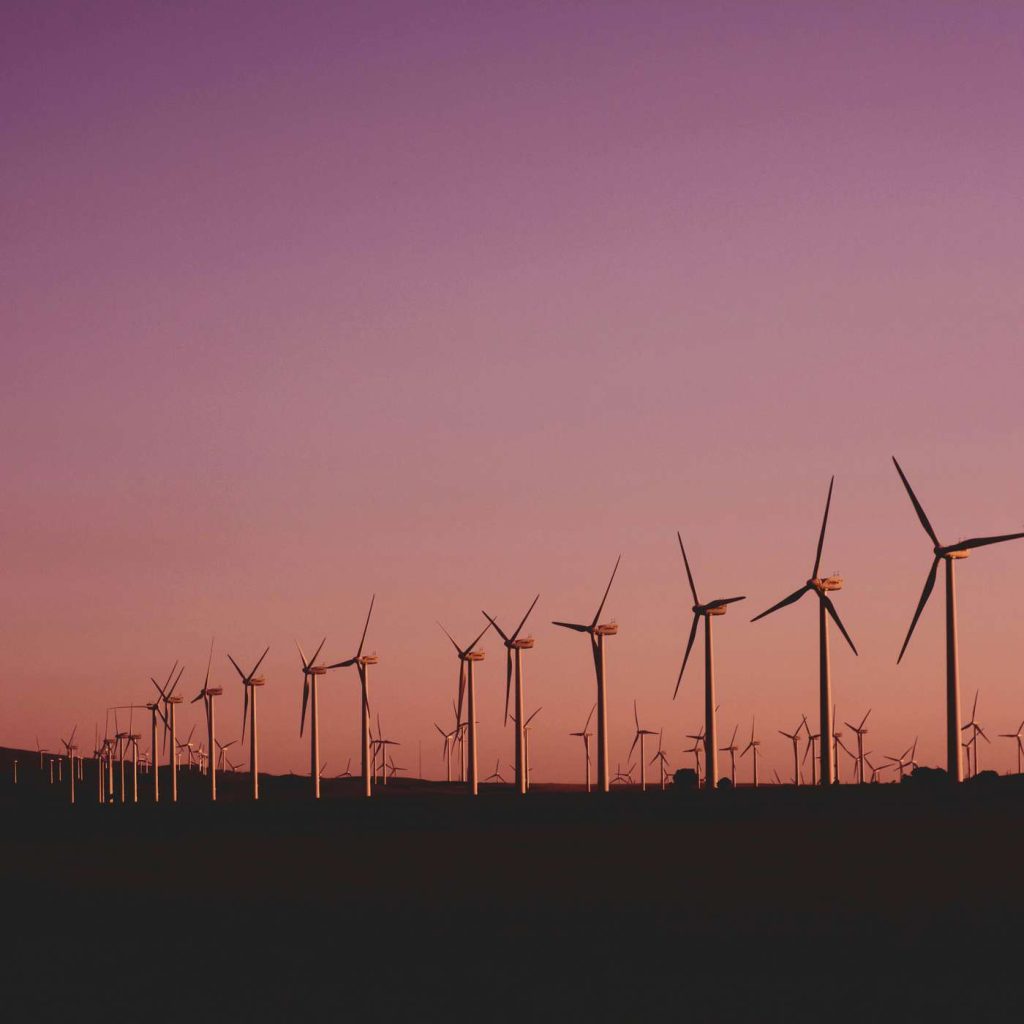 Écologie – Le développement durable une cause qui nous touche tous