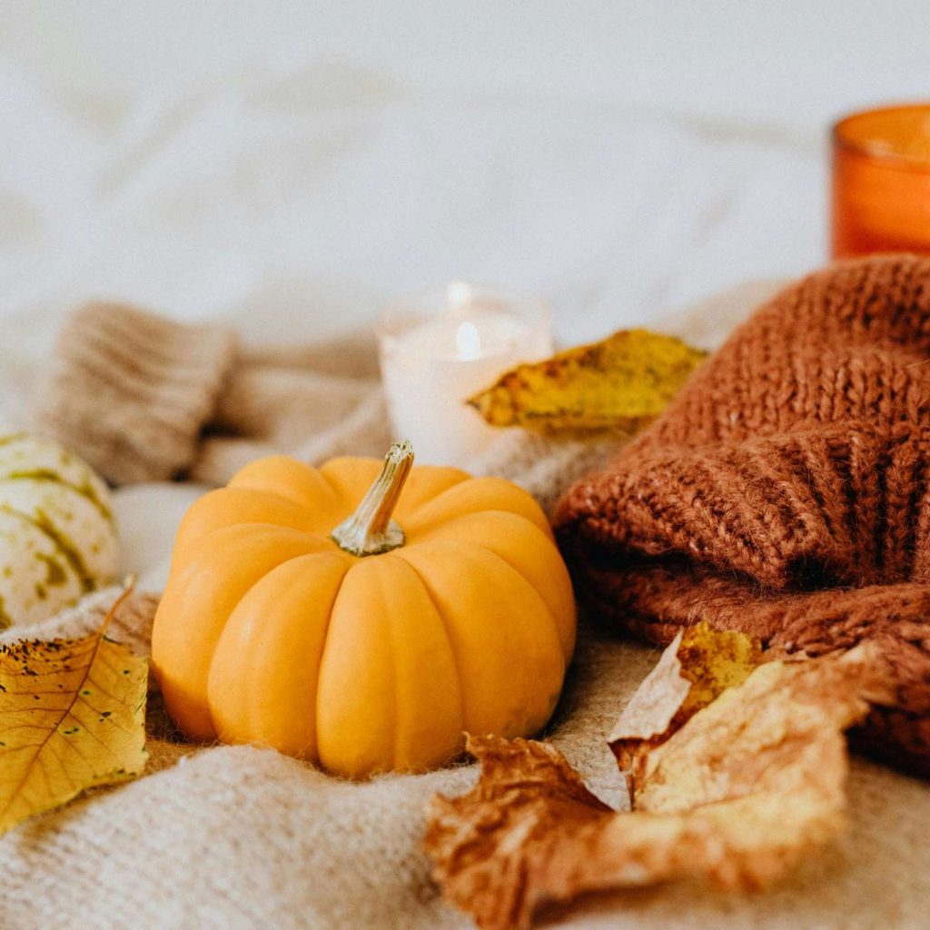 SORTIES – Qu’est-ce qui est ouvert et fermé à Toronto pour l’Action de Grâce 2025 ?